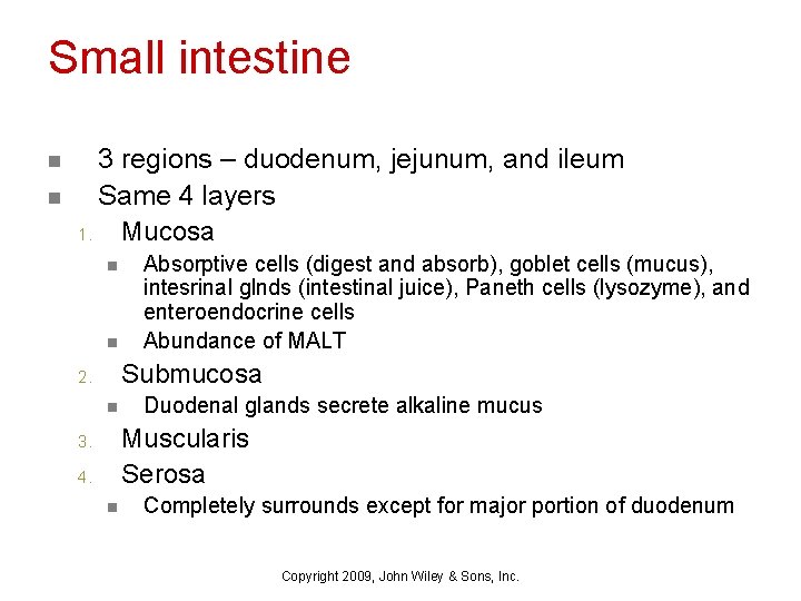 Small intestine n n 3 regions – duodenum, jejunum, and ileum Same 4 layers
