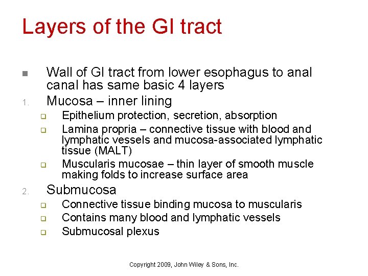 Layers of the GI tract n 1. Wall of GI tract from lower esophagus