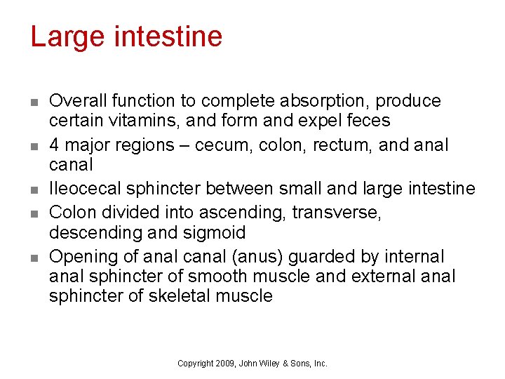 Large intestine n n n Overall function to complete absorption, produce certain vitamins, and
