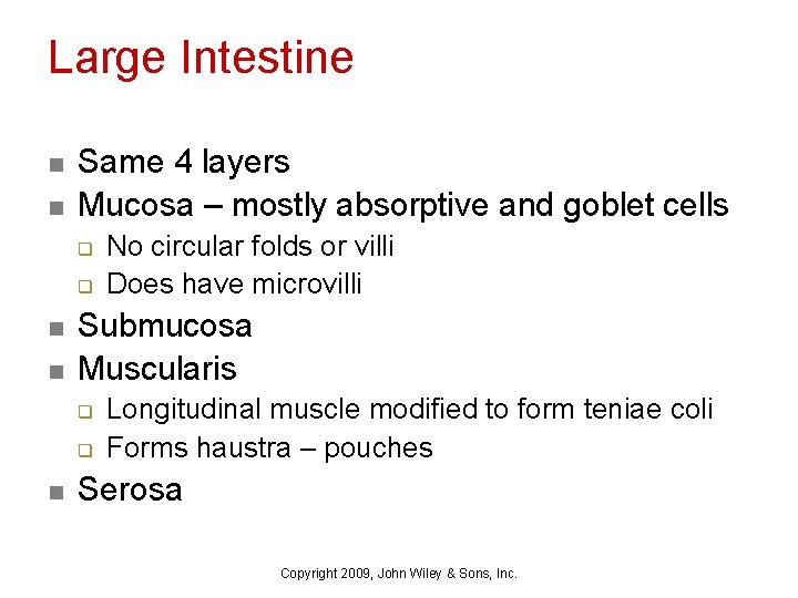 Large Intestine n n Same 4 layers Mucosa – mostly absorptive and goblet cells