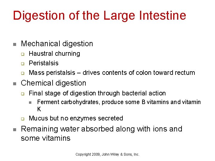 Digestion of the Large Intestine n Mechanical digestion q q q n Haustral churning