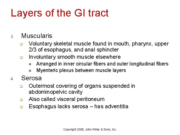 Layers of the GI tract 3. Muscularis q q Voluntary skeletal muscle found in
