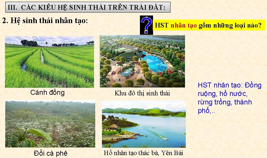 III. CÁC KIỂU HỆ SINH THÁI TRÊN TRÁI ĐẤT: 2. Hệ sinh thái nhân