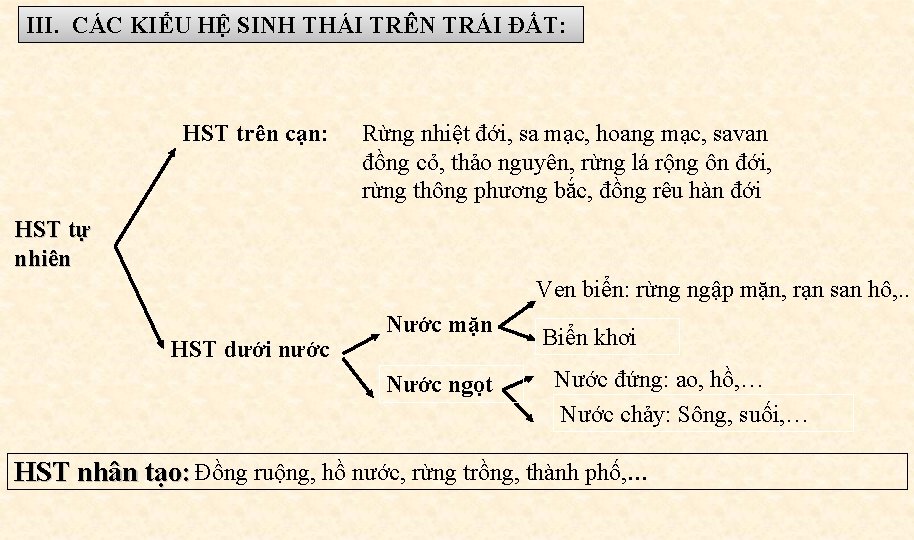 III. CÁC KIỂU HỆ SINH THÁI TRÊN TRÁI ĐẤT: HST trên cạn: Rừng nhiệt