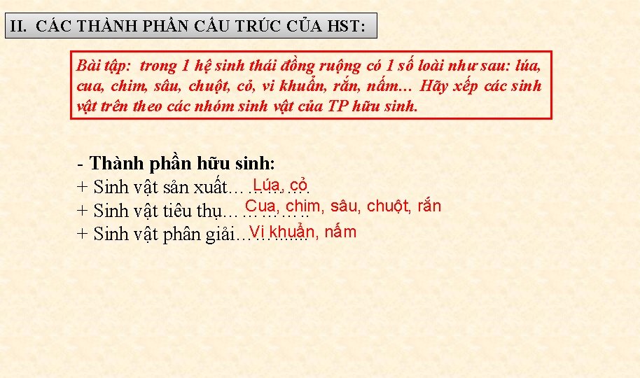 II. CÁC THÀNH PHẦN CẤU TRÚC CỦA HST: Bài tập: trong 1 hệ sinh