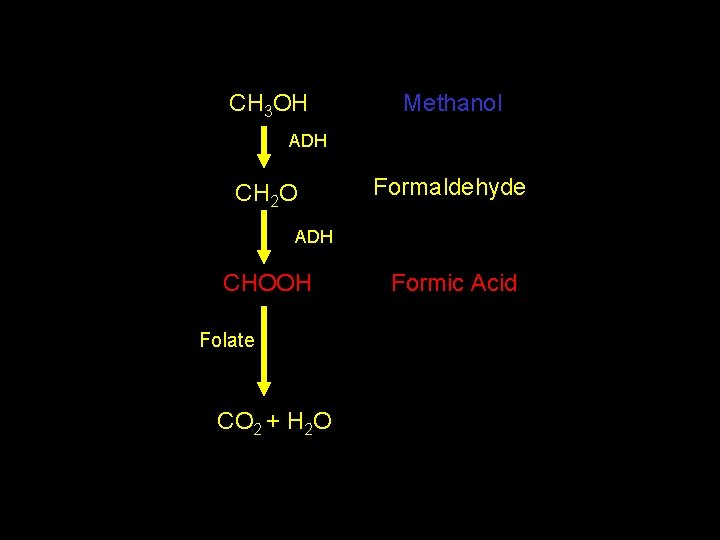 CH 3 OH Methanol ADH CH 2 O Formaldehyde ADH CHOOH Folate CO 2