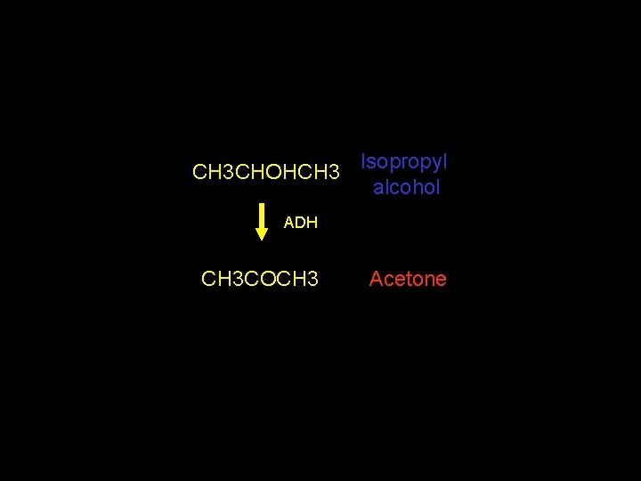 CH 3 CHOHCH 3 Isopropyl alcohol ADH CH 3 COCH 3 Acetone 