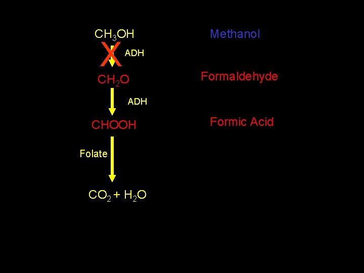CH 3 OH X Methanol ADH CH 2 O Formaldehyde ADH CHOOH Folate CO CH 3 OH X Methanol ADH CH 2 O Formaldehyde ADH CHOOH Folate CO