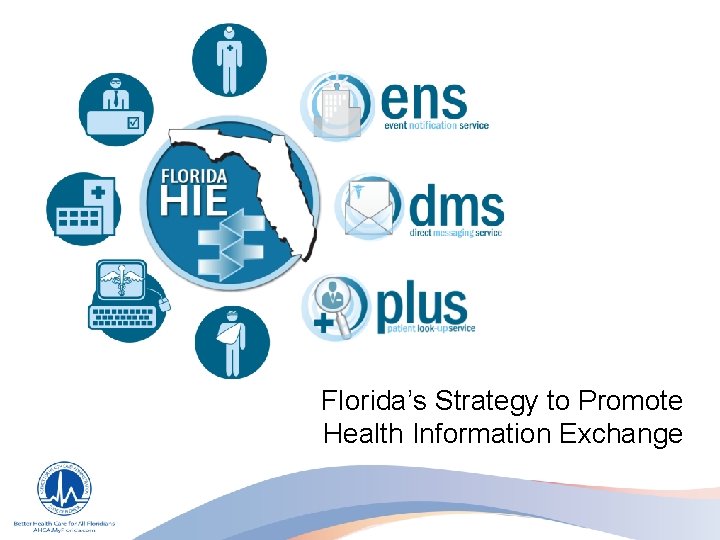 Florida’s Strategy to Promote Health Information Exchange 