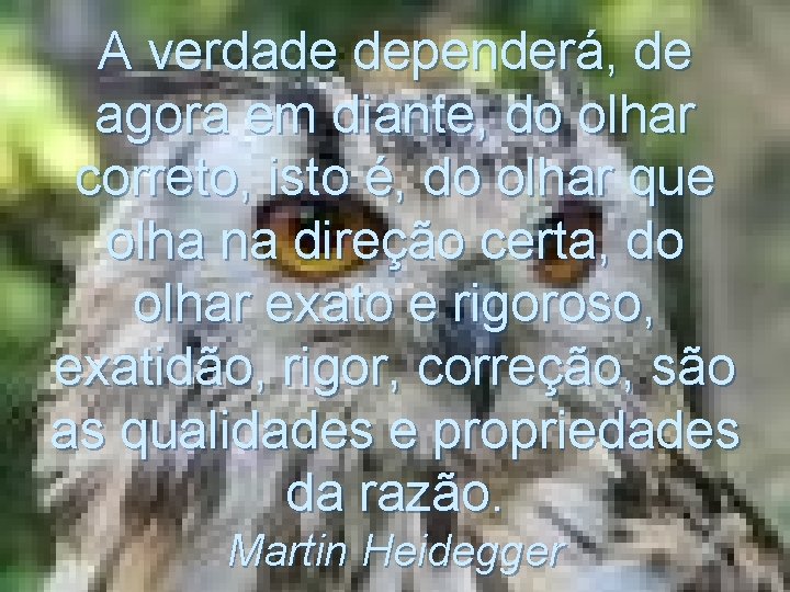 A verdade dependerá, de agora em diante, do olhar correto, isto é, do olhar