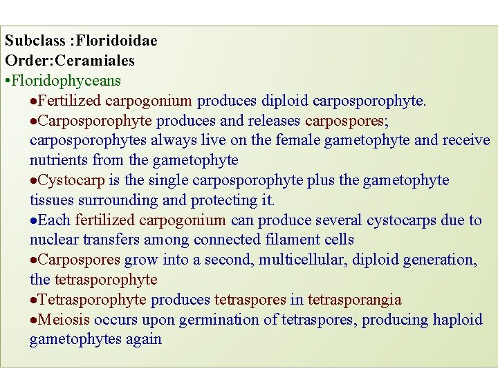 Subclass : Floridoidae Order: Ceramiales • Floridophyceans Fertilized carpogonium produces diploid carposporophyte. Carposporophyte produces Subclass : Floridoidae Order: Ceramiales • Floridophyceans Fertilized carpogonium produces diploid carposporophyte. Carposporophyte produces
