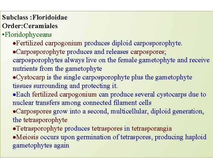 Subclass : Floridoidae Order: Ceramiales • Floridophyceans Fertilized carpogonium produces diploid carposporophyte. Carposporophyte produces