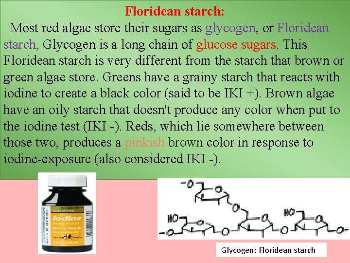 Floridean starch: Most red algae store their sugars as glycogen, or Floridean starch, Glycogen
