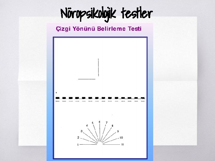 Nöropsikolojik testler 