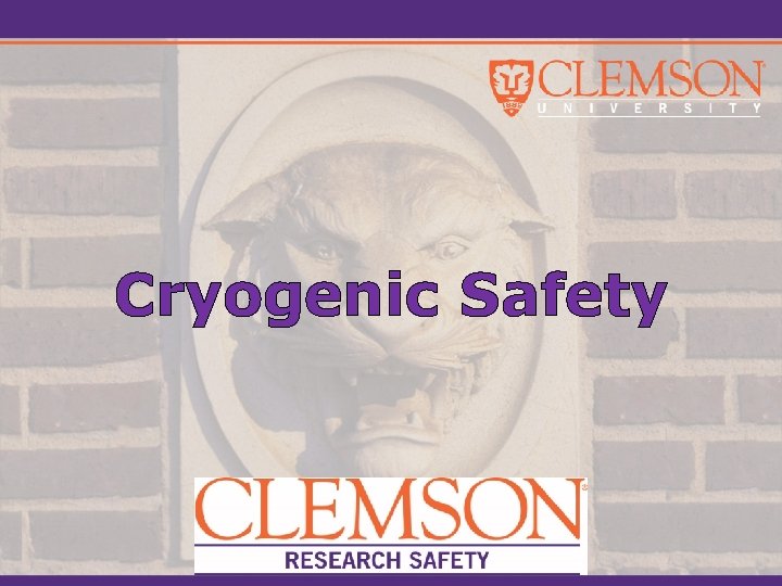 Cryogenic Safety 