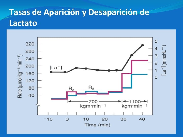 Ra Rd [La] Carga de Trabajo [La] en Sangre (m. M) Tasa de Aparición