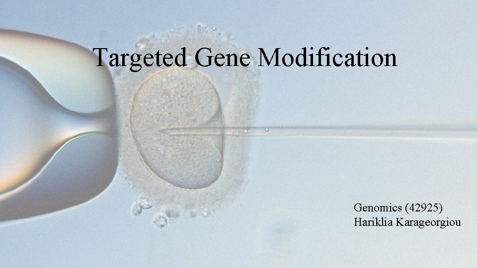Targeted Gene Modification Genomics (42925) Hariklia Karageorgiou 
