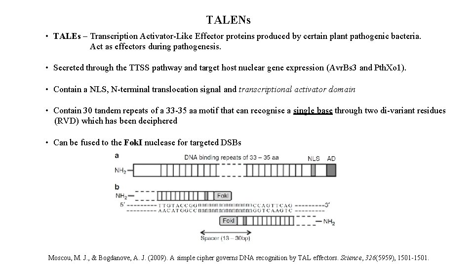 TALENs • TALEs – Transcription Activator-Like Effector proteins produced by certain plant pathogenic bacteria.