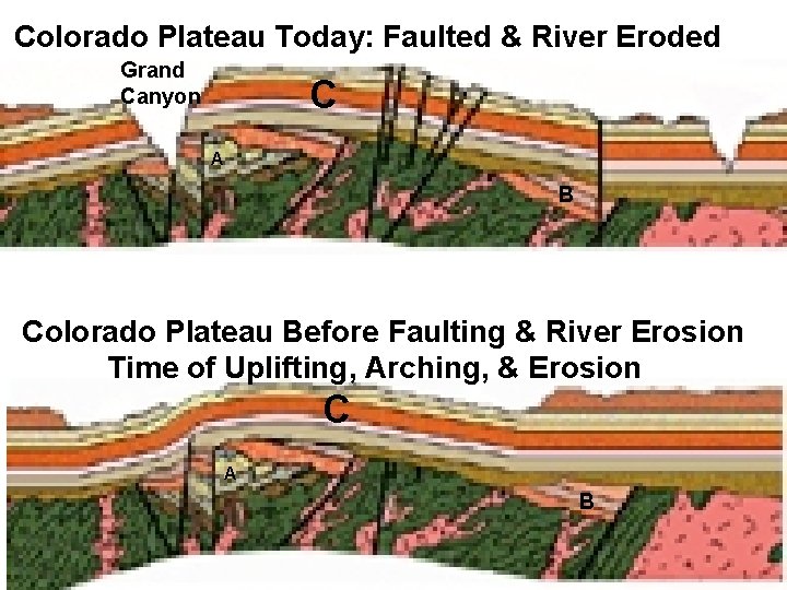 Colorado Plateau Today: Faulted & River Eroded Grand Canyon C A B Colorado Plateau