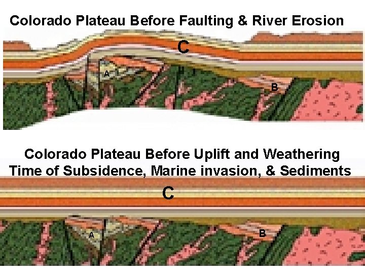 Colorado Plateau Before Faulting & River Erosion C A B Colorado Plateau Before Uplift