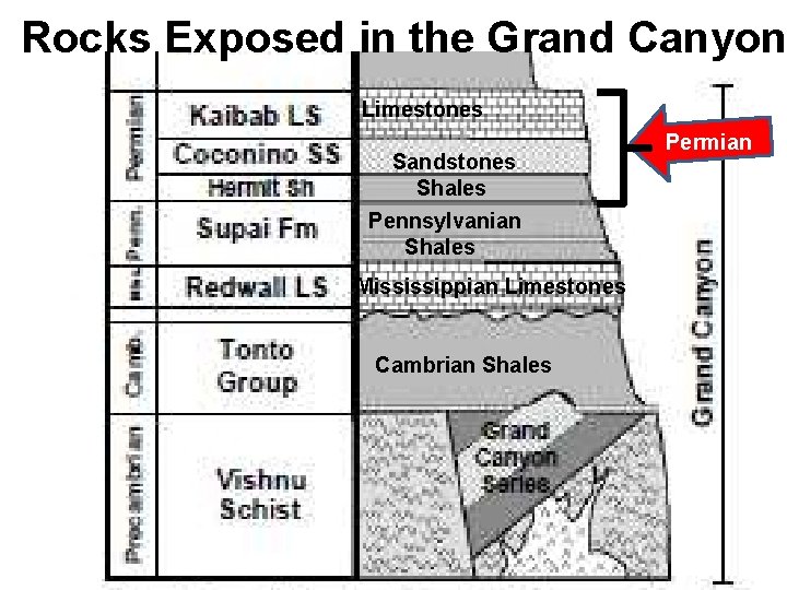 Rocks Exposed in the Grand Canyon Limestones Sandstones Shales Pennsylvanian Shales Mississippian Limestones Cambrian