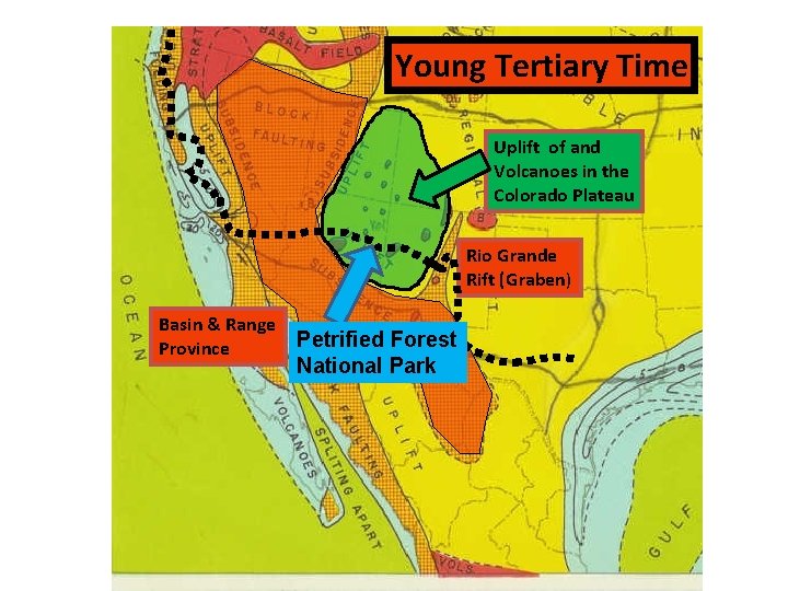 Young Tertiary Time Uplift of and Volcanoes in the Colorado Plateau Rio Grande Rift