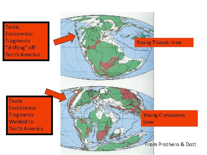 Exotic Continental Fragments “drifting” off North America Exotic Continental Fragments Welded to North America