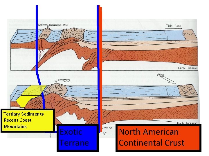 Tertiary Sediments Recent Coast Mountains Exotic Terrane North American Continental Crust 