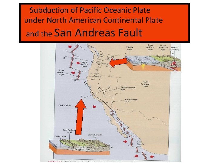 Subduction of Pacific Oceanic Plate under North American Continental Plate and the San Andreas