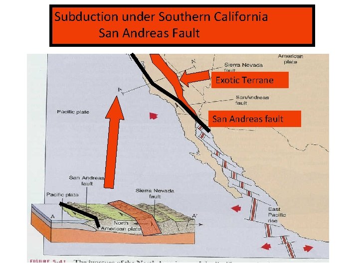 Subduction under Southern California San Andreas Fault Exotic Terrane San Andreas fault 