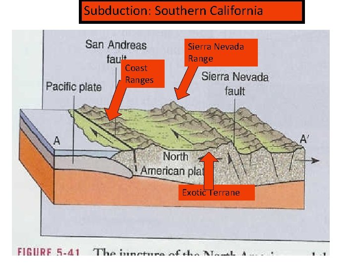 Subduction: Southern California Coast Ranges Sierra Nevada Range Exotic Terrane 