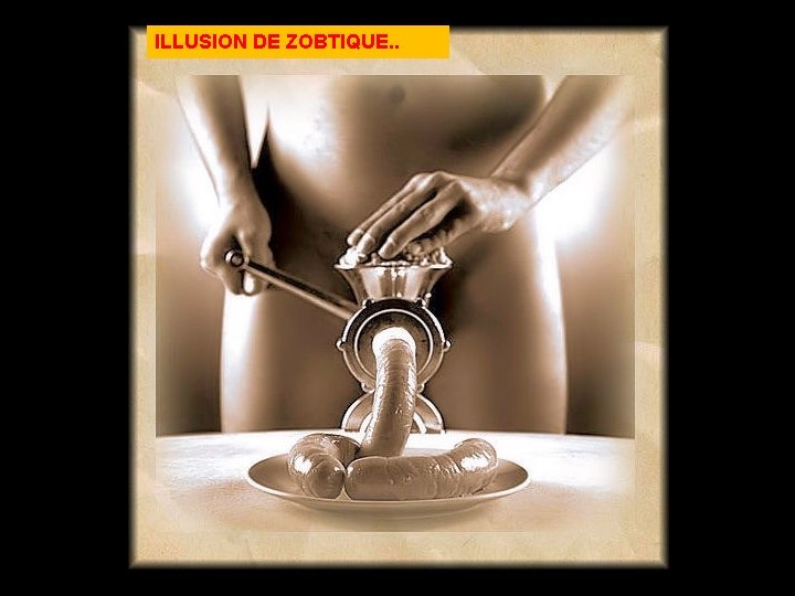 ILLUSION DE ZOBTIQUE. . 