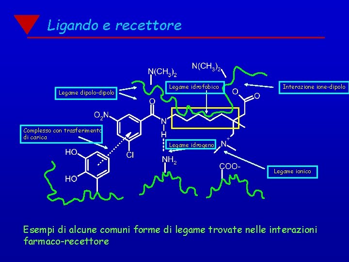 Ligando e recettore Legame dipolo-dipolo Complesso con trasferimento di carica Legame idrofobico Interazione-dipolo Legame