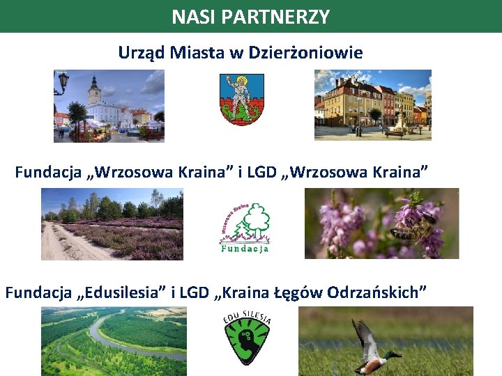 NASI PARTNERZY Urząd Miasta w Dzierżoniowie Fundacja „Wrzosowa Kraina” i LGD „Wrzosowa Kraina” Fundacja