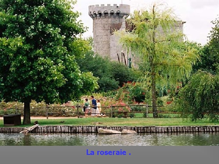 La roseraie. 