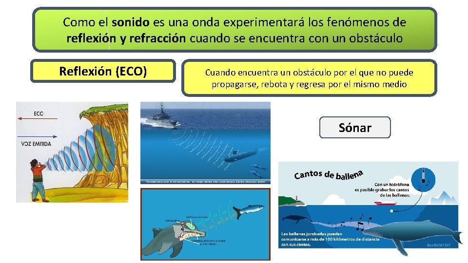 Como el sonido es una onda experimentará los fenómenos de reflexión y refracción cuando