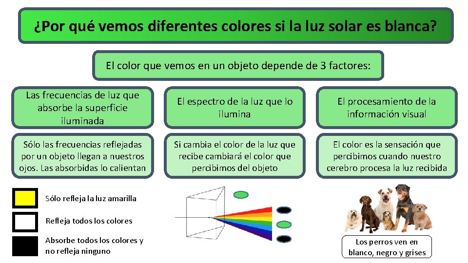 ¿Por qué vemos diferentes colores si la luz solar es blanca? El color que