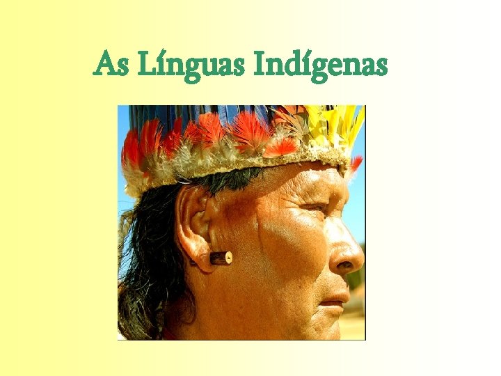 As Línguas Indígenas 