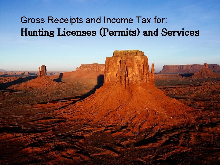 Gross Receipts and Income Tax for: Hunting Licenses (Permits) and Services 