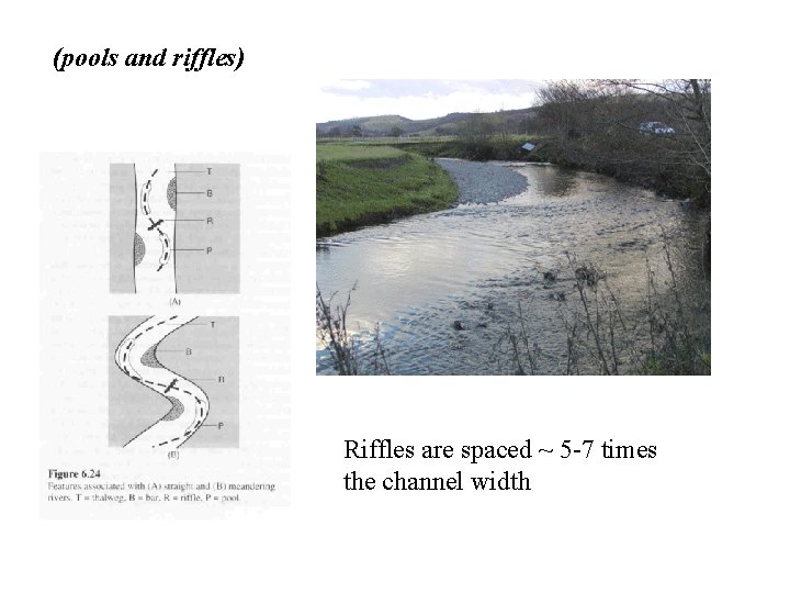 (pools and riffles) Riffles are spaced ~ 5 -7 times the channel width 