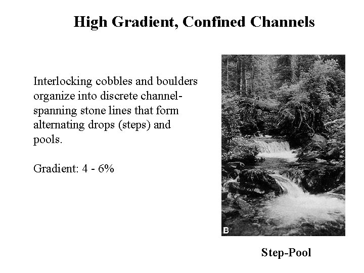 High Gradient, Confined Channels Interlocking cobbles and boulders organize into discrete channelspanning stone lines