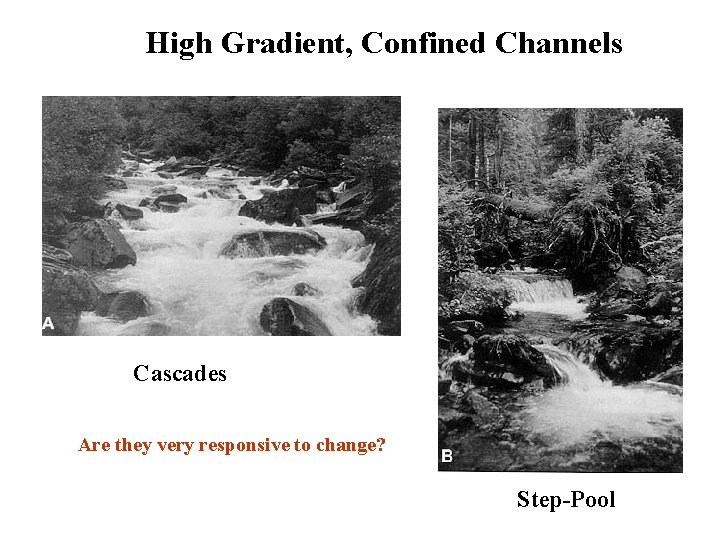 High Gradient, Confined Channels Cascades Are they very responsive to change? Step-Pool 