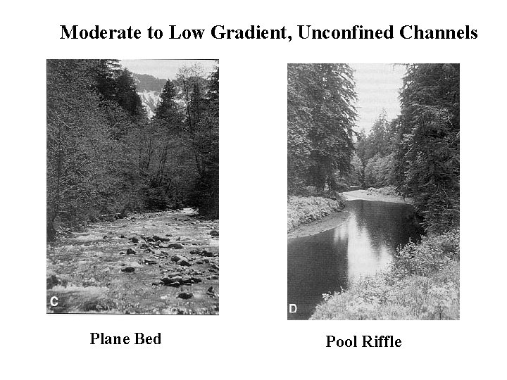 Moderate to Low Gradient, Unconfined Channels Plane Bed Pool Riffle 