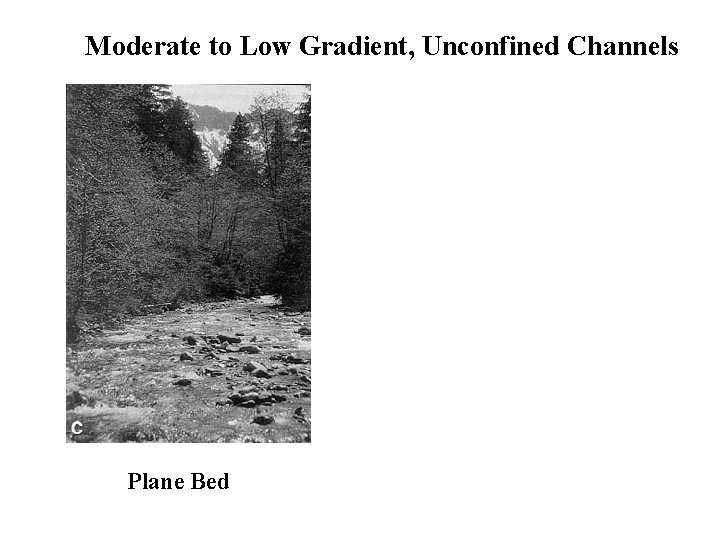 Moderate to Low Gradient, Unconfined Channels Plane Bed 