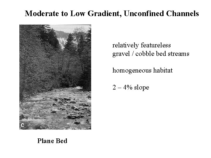 Moderate to Low Gradient, Unconfined Channels relatively featureless gravel / cobble bed streams homogeneous