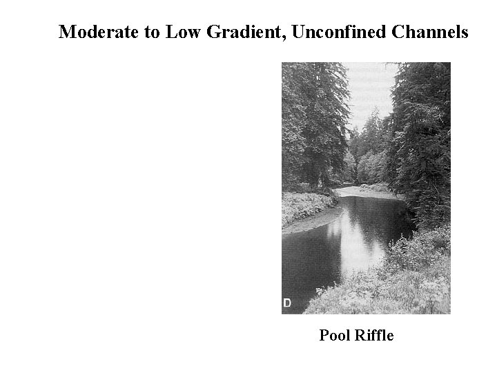 Moderate to Low Gradient, Unconfined Channels Pool Riffle 