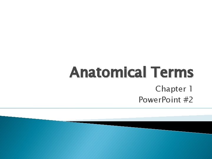 Anatomical Terms Chapter 1 Power. Point #2 