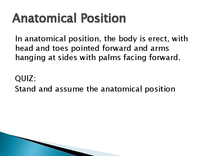 Anatomical Position In anatomical position, the body is erect, with head and toes pointed