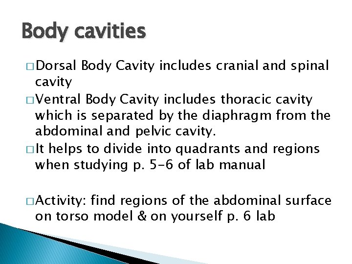 Body cavities � Dorsal Body Cavity includes cranial and spinal cavity � Ventral Body