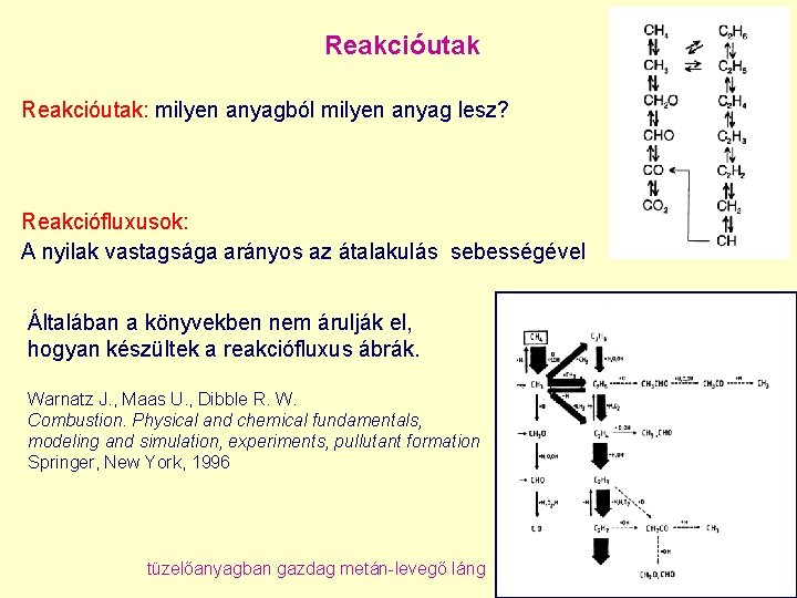 Reakcióutak: milyen anyagból milyen anyag lesz? Reakciófluxusok: A nyilak vastagsága arányos az átalakulás sebességével